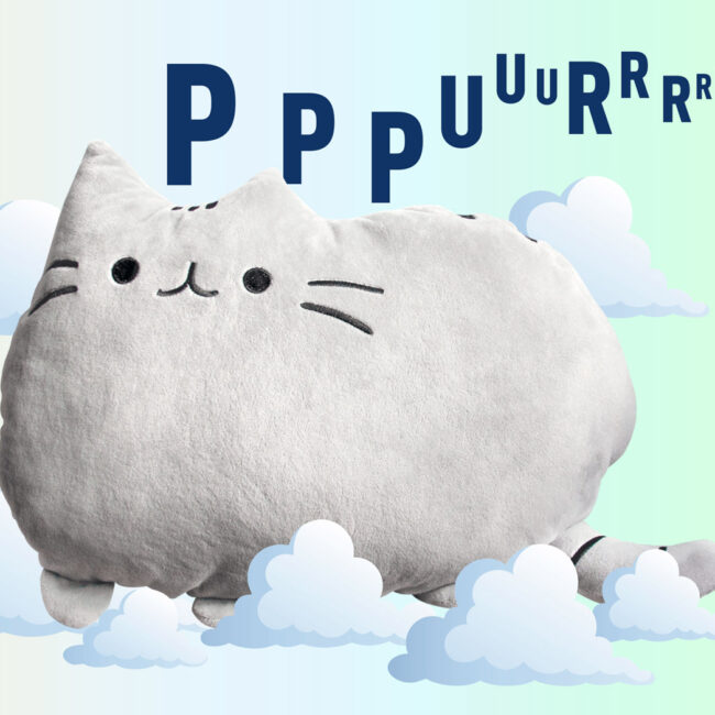 destacado-purrcushion
