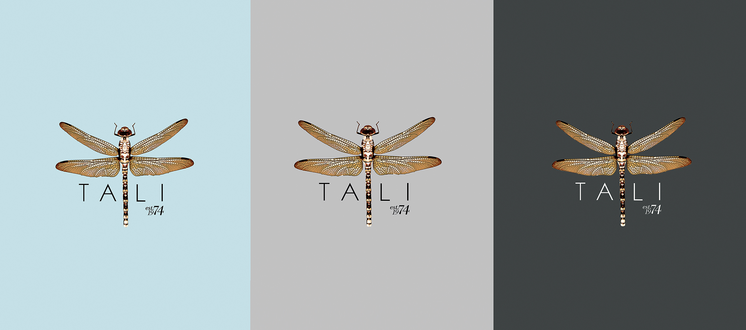 LOGOTIPOS-TALI