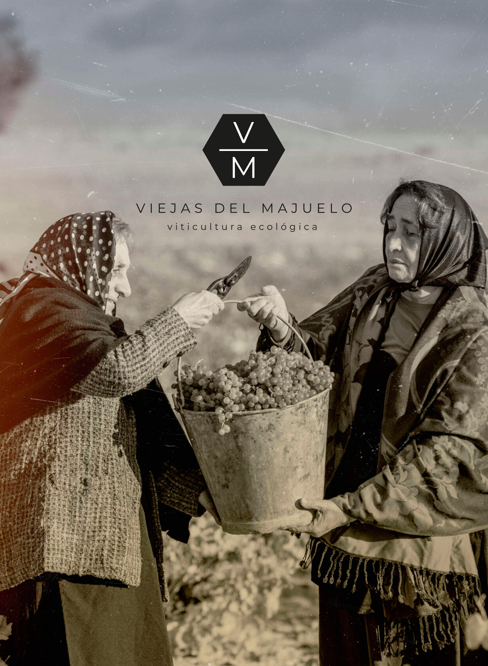 destacado-viejas-del-majuelo